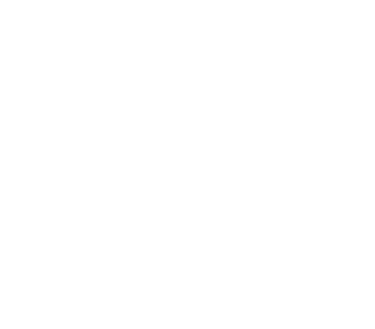 Aircraft Dispatcher