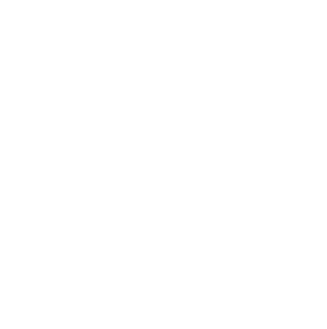 Drone and UAV