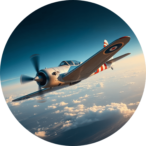 Warbird Training